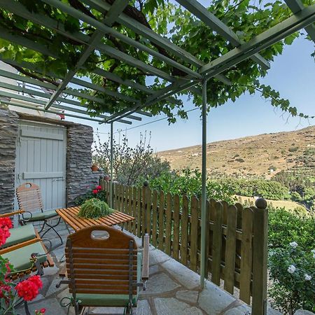 Victoria'S Summerhouse Andros Town Exterior photo
