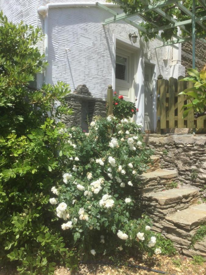 Victoria'S Summerhouse Andros Town Exterior photo